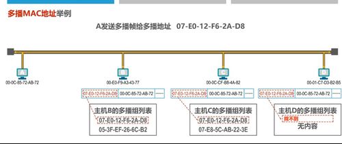 計算機網絡技術開發中的關鍵基石 MAC地址深度解析學習筆記